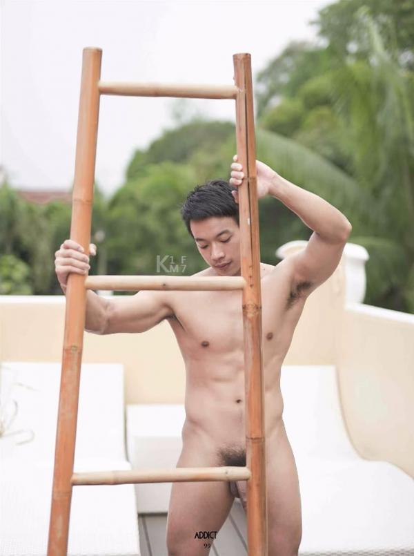 Addict--The-Premium-Issue